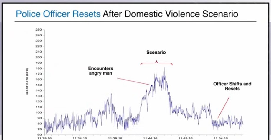 ábra: rendőrtiszt szívritmusa